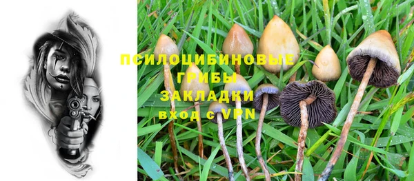 стафф Володарск