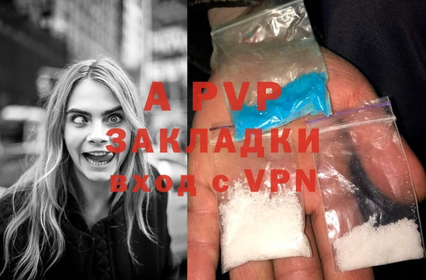 стафф Володарск