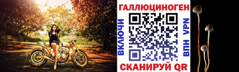 Купить закладки  Беслан  Галлюциногенные грибы MAGIC MUSHROOMS 