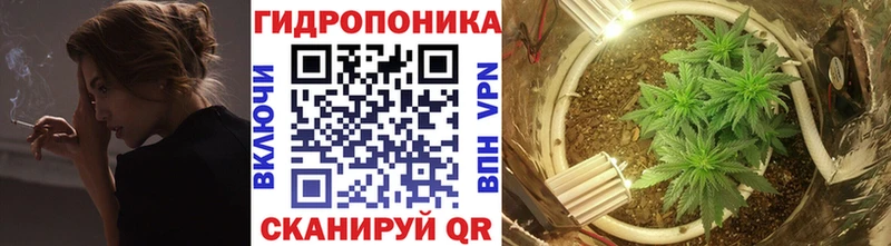 Купить  Беслан  МАРИХУАНА тримм 